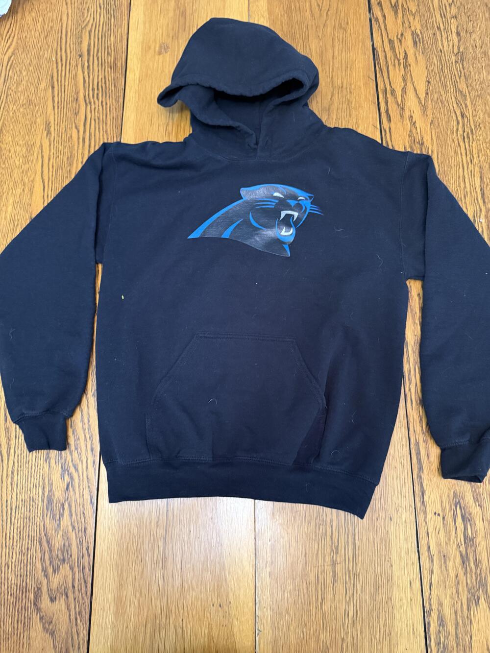 Carolina Panthers Hoodie Sweatshirt Mens Small NFL Football Team Apparel Pullove
